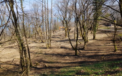 Fin mars 2020 | Les travaux avancent