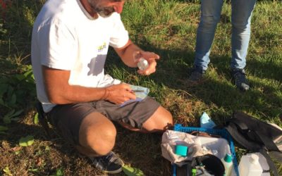 15 août 2020 | Greffage en compagnie de bénévoles et de Gilles Villanova, professeur d’arboriculture