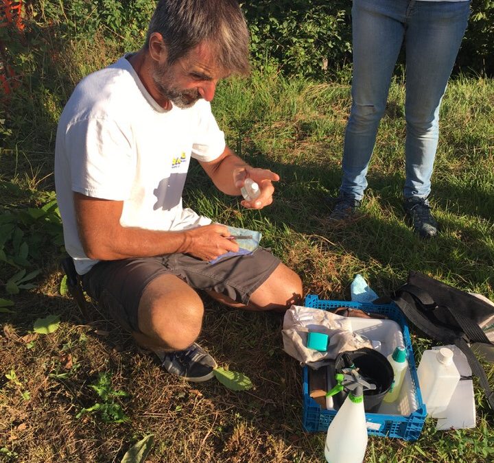 15 août 2020 | Greffage en compagnie de bénévoles et de Gilles Villanova, professeur d’arboriculture