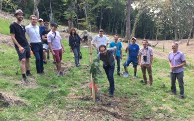 18 septembre 2020 | Visite des membre de la Vogelwarte, fondation à but non lucratif pour l’étude et la protection des oiseaux | Merci à eux pour le généreux soutien et leur appui dans la revalorisation écologique de la châtaigneraie